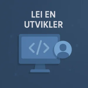 Lei en utvikler